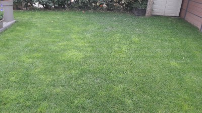 20170626_183608.jpg