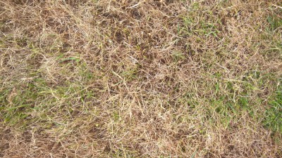 WP_20170629_10_32_28_Pro.jpg