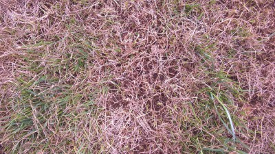 WP_20170629_10_32_35_Pro.jpg