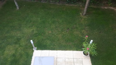 20170625_210444.jpg