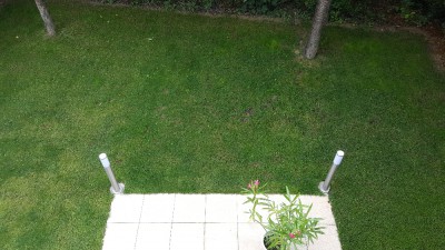 20170629_101342.jpg