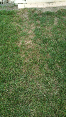 20170630_204557.png