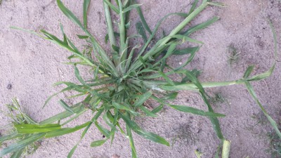 20170704_214527.jpg