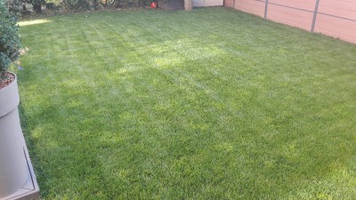 20170705_194926[1].jpg