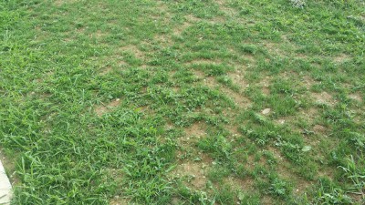 Photo_4.jpg