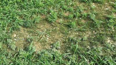 Photo_15.jpg