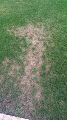 20170710_200755.jpg