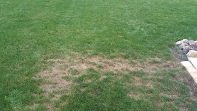 20170710_201005.jpg