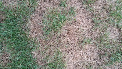 20170710_201110.jpg