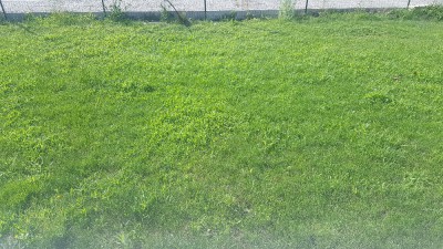 20170714_180458.jpg