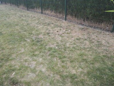 IMG_20170715_194721.jpg