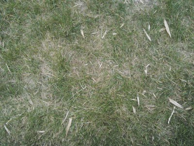 IMG_20170715_194742.jpg