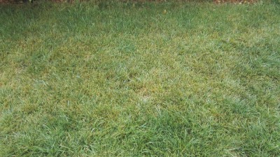 IMG_20170724_090613.jpg