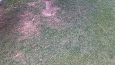 20170728_140029_HDR.jpg