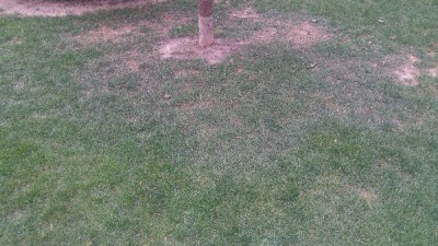 20170728_140009_HDR.jpg