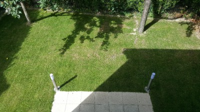 20170729_162530.jpg