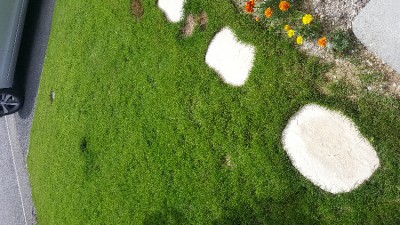 20170729_162436.jpg