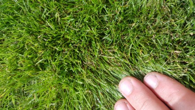 20170729_162449.jpg