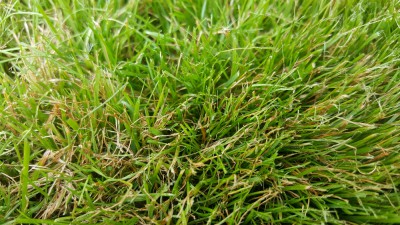 20170729_173808.jpg