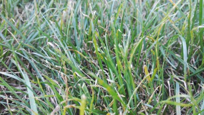 IMG_20170808_201822[1].jpg