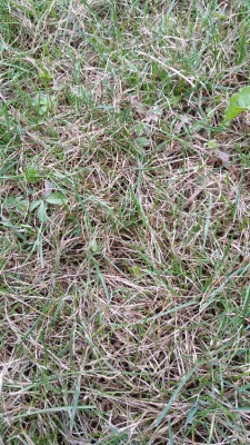 20170810_184719.jpg