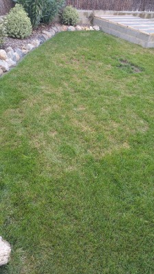 20170810_184903.jpg