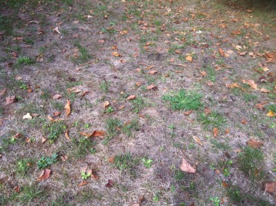 photo 3.JPG