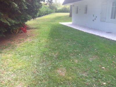 photo 4.JPG