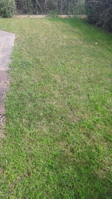 20170818_153604[1].jpg