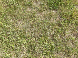 73604420170817112105.jpg