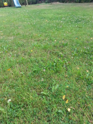 20170820_182312.jpg