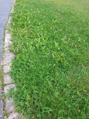 20170820_182336.jpg
