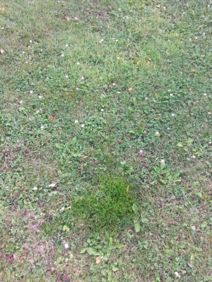 20170820_182347.jpg
