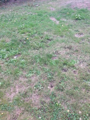 20170820_182424.jpg