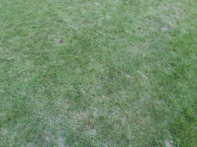 IMG_20170819_175721474.jpg