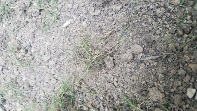 20170824_160206.jpg