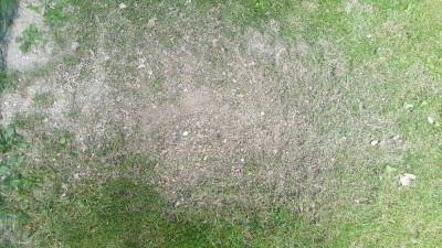 20170824_160133.jpg