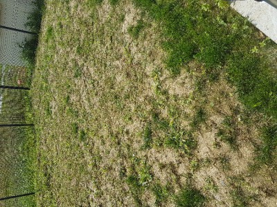 20170824_145247.jpg