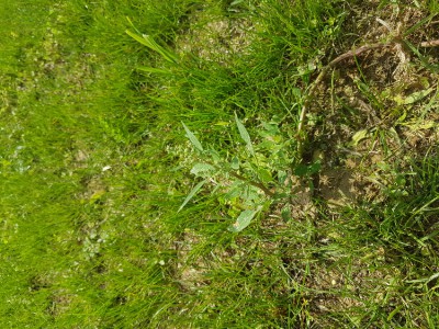 20170824_145311.jpg
