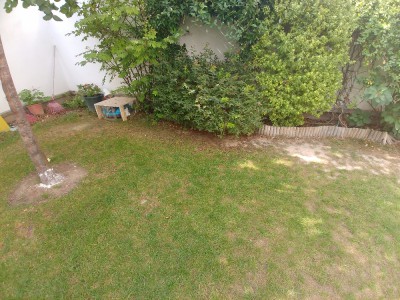 L'herbe ne pousse plus près des arbustes