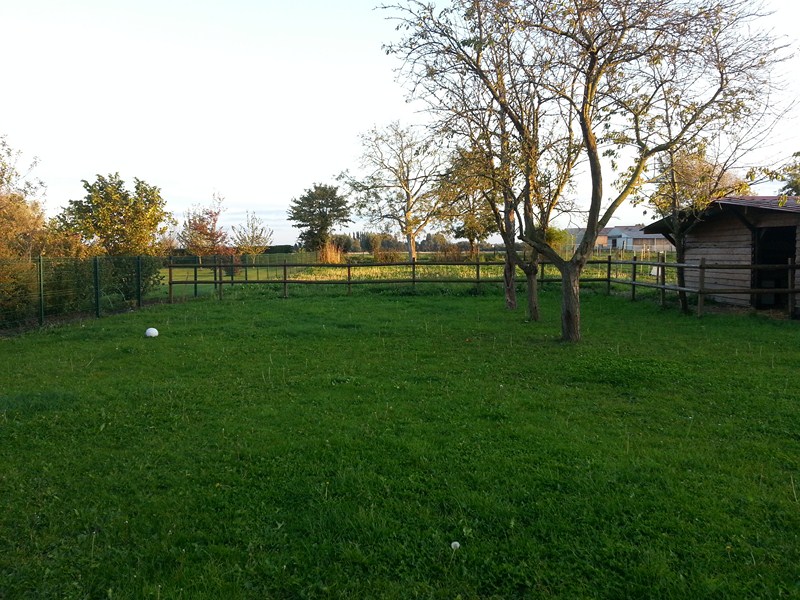 20140925_191505.jpg