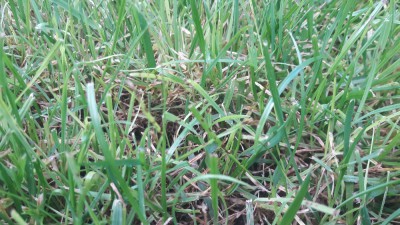 20170902_115446.jpg