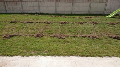 Terrasse_1.jpg