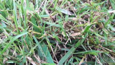 20170903_110147.jpg