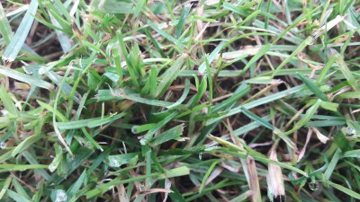 20170903_110136.jpg