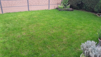 20170903_110121.jpg
