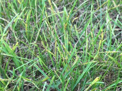 IMG_1092.JPG
