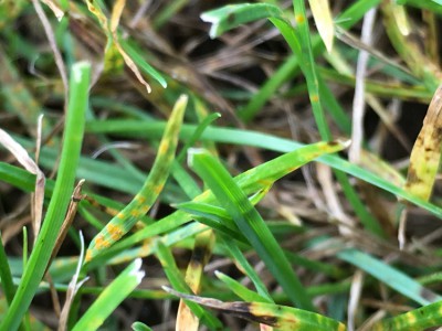 IMG_1098.JPG