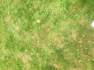 image1.JPG