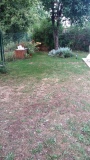 D.08.09.17jardin.jpg